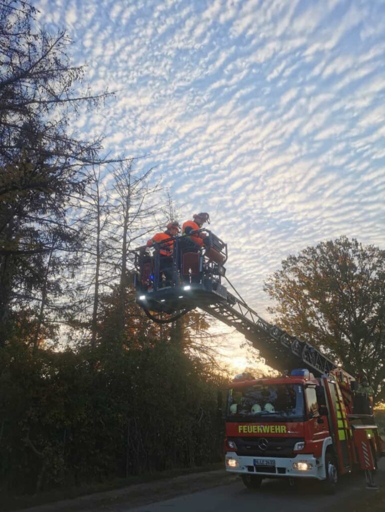 Feuerwehr Lehrte - 20221119 Kettensaegenlehrgang Modul C