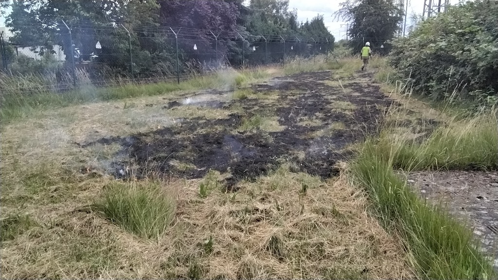 Feuerwehr Lehrte - 20240616 bi1